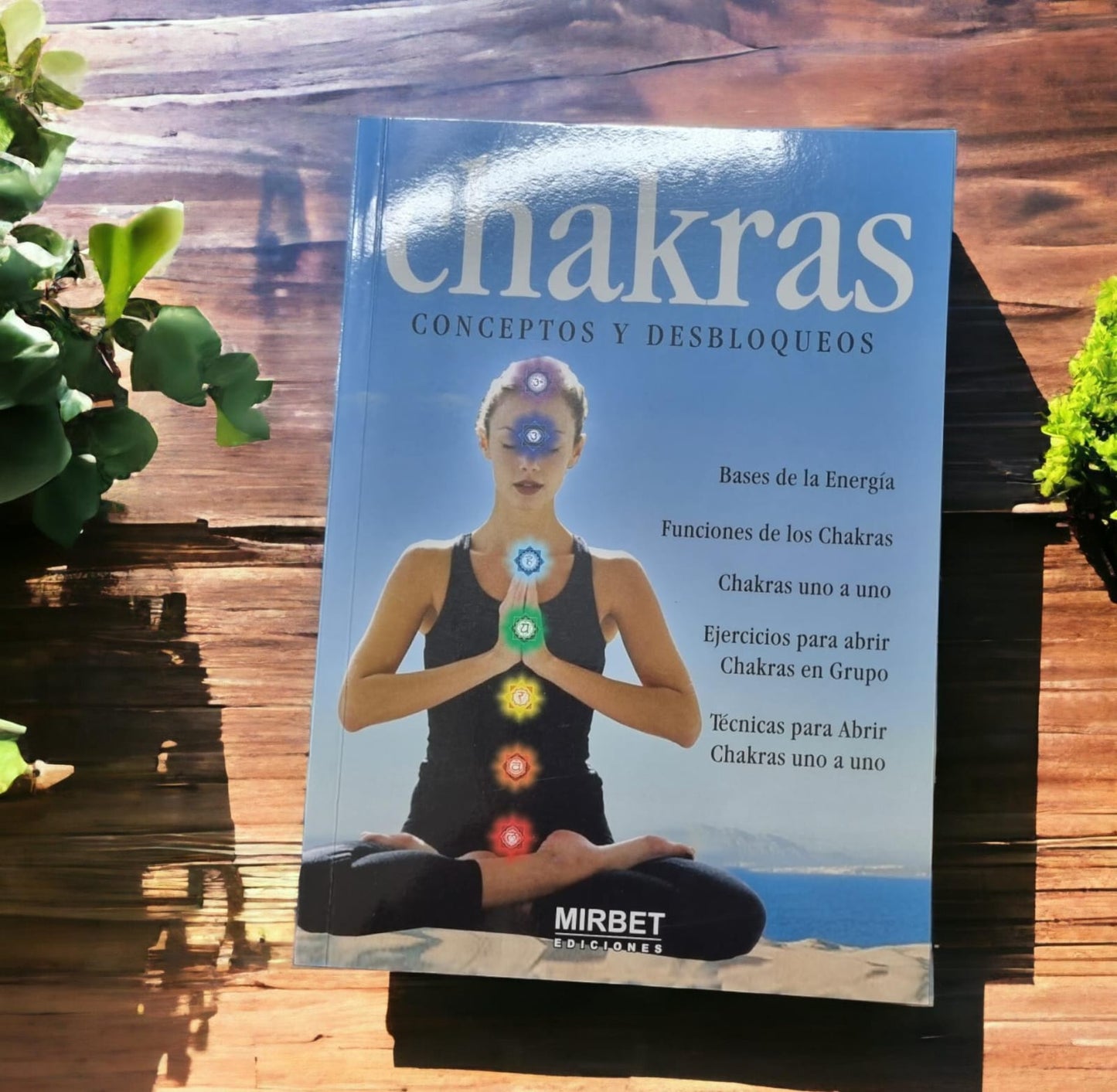 CHAKRAS: CONCEPTOS Y DESBLOQUEOS