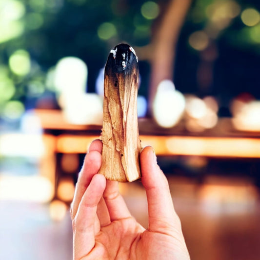 Propiedades del palo santo