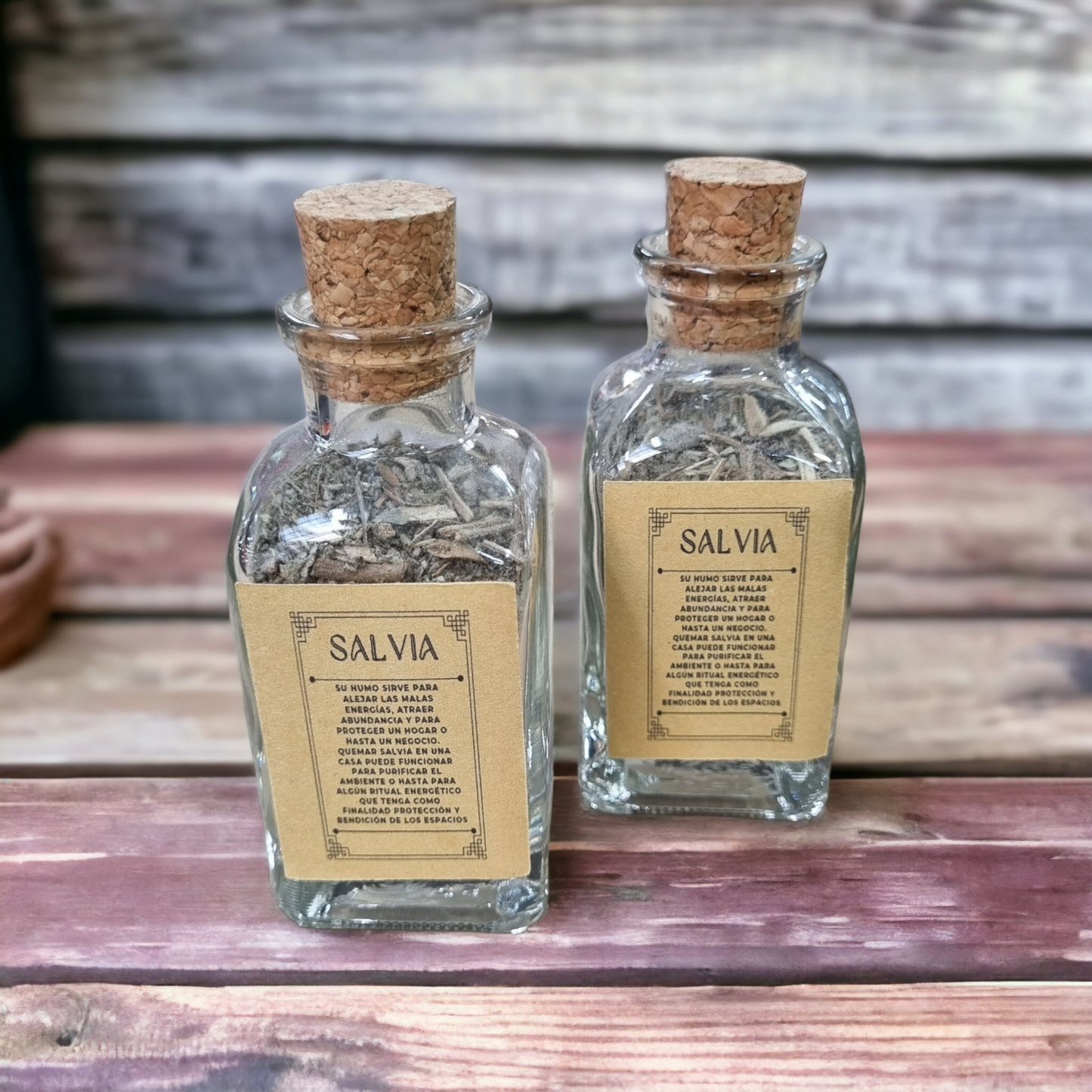 SALVIA
